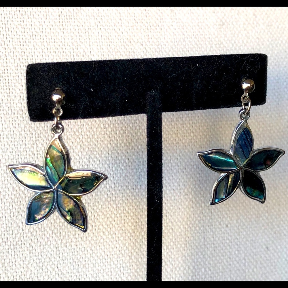 Abalone Earrings, vintage